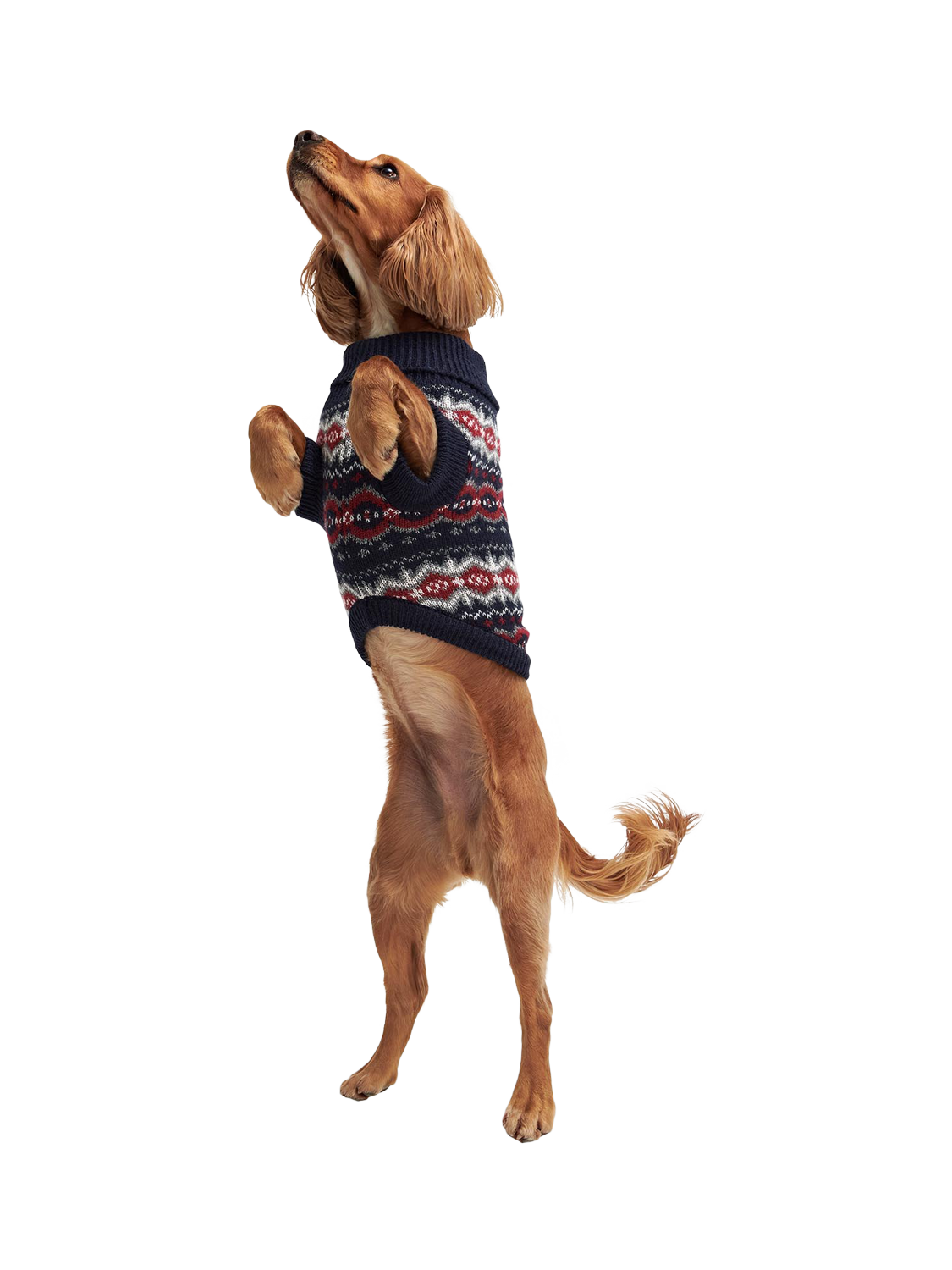 Barbour Fair Isle Dog Jumper Fairisle Small