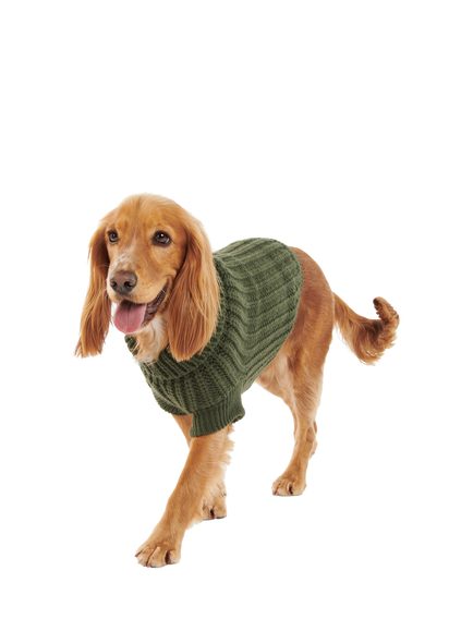 Barbour Saltburn Dog Jumper,Olive, Large - view 2, Pale Blue
