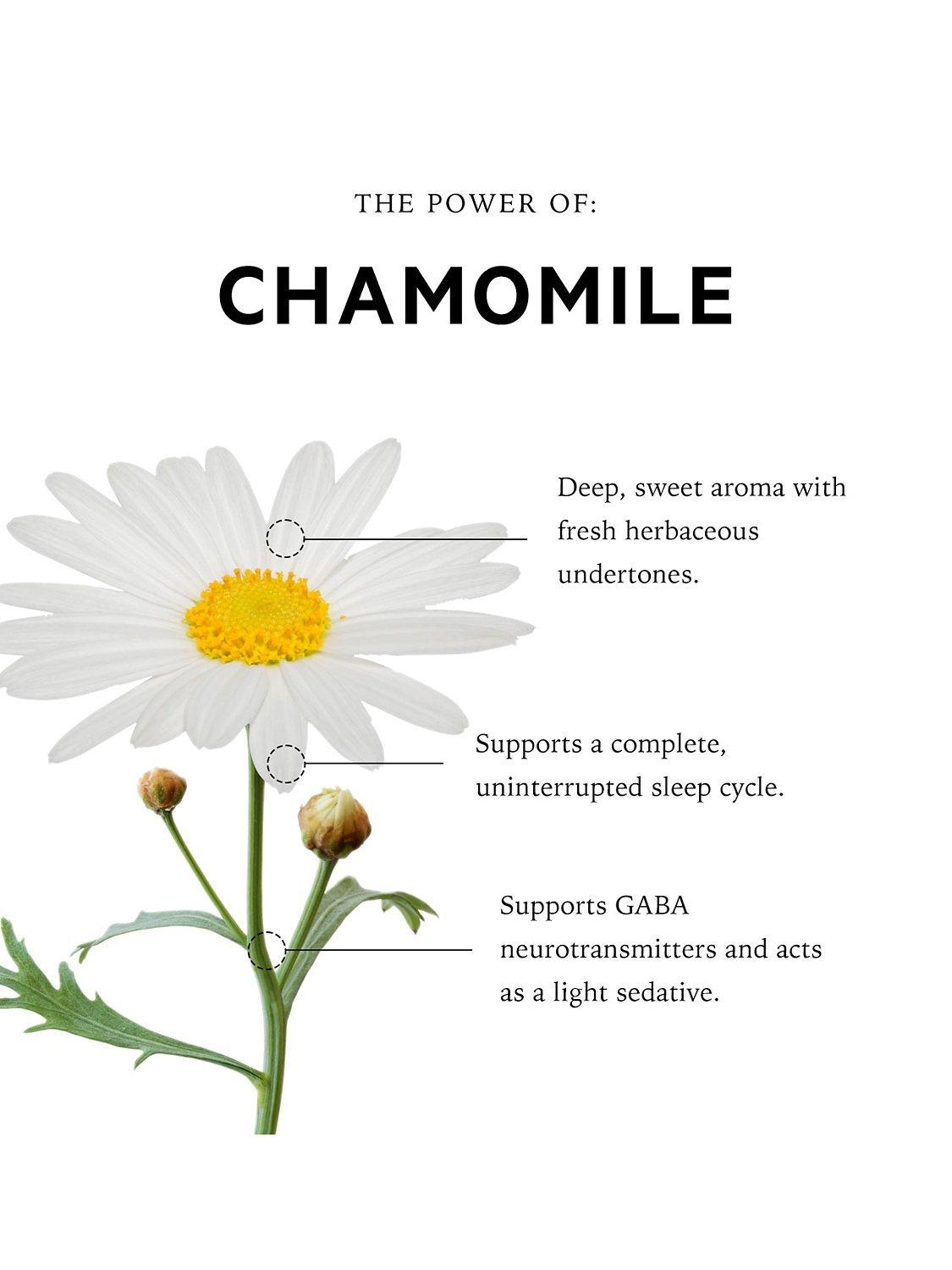 Product image 2 of 4, which shows anatome Bath & Shower Oil Roman Chamomile, 150ml