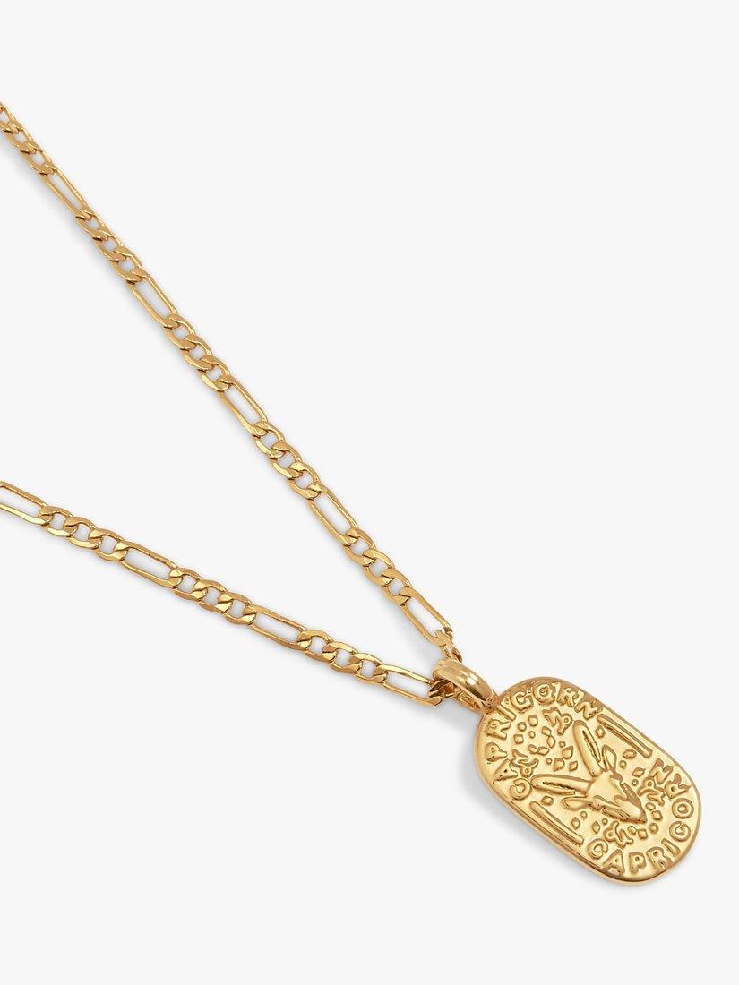 Product image 3 of 5, which shows Katie Loxton Waterproof Zodiac Necklace, Gold, Capricorn