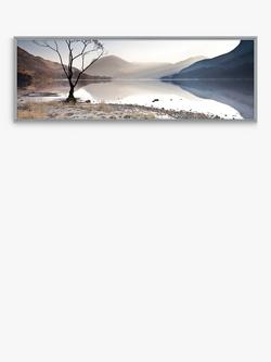John Lewis James Bell 'Buttermere Tree' Framed Canvas Print, 44 x 124m, Multi, Multi
