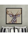 John Lewis Louise Luton 'Majesty' Stag Framed Print, 84.5 x 84.5cm, Brown/Multi