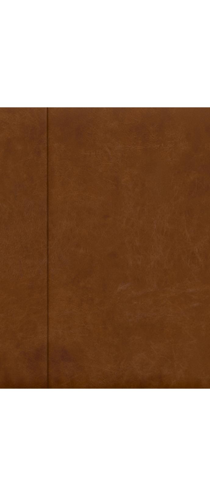 Premium Caramel