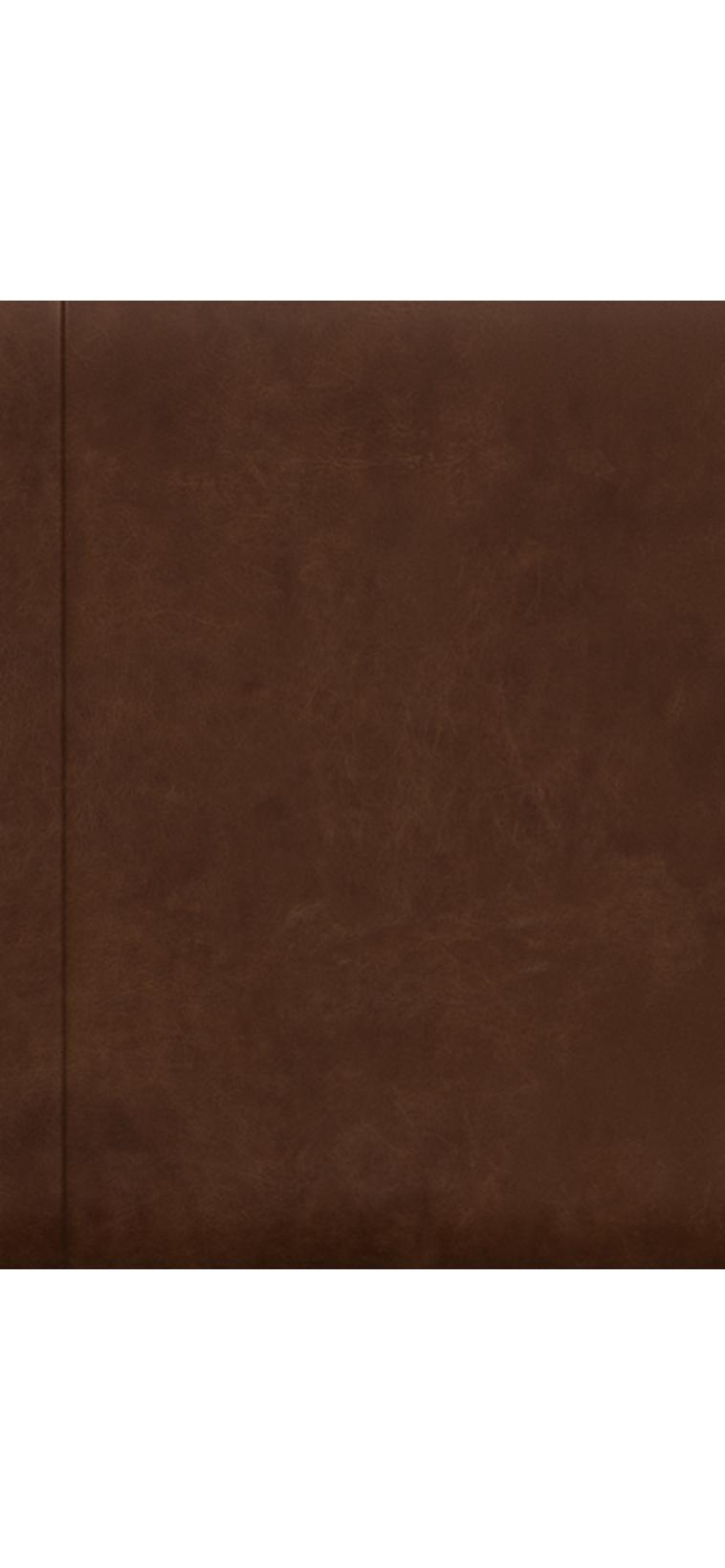 Premium Cocoa