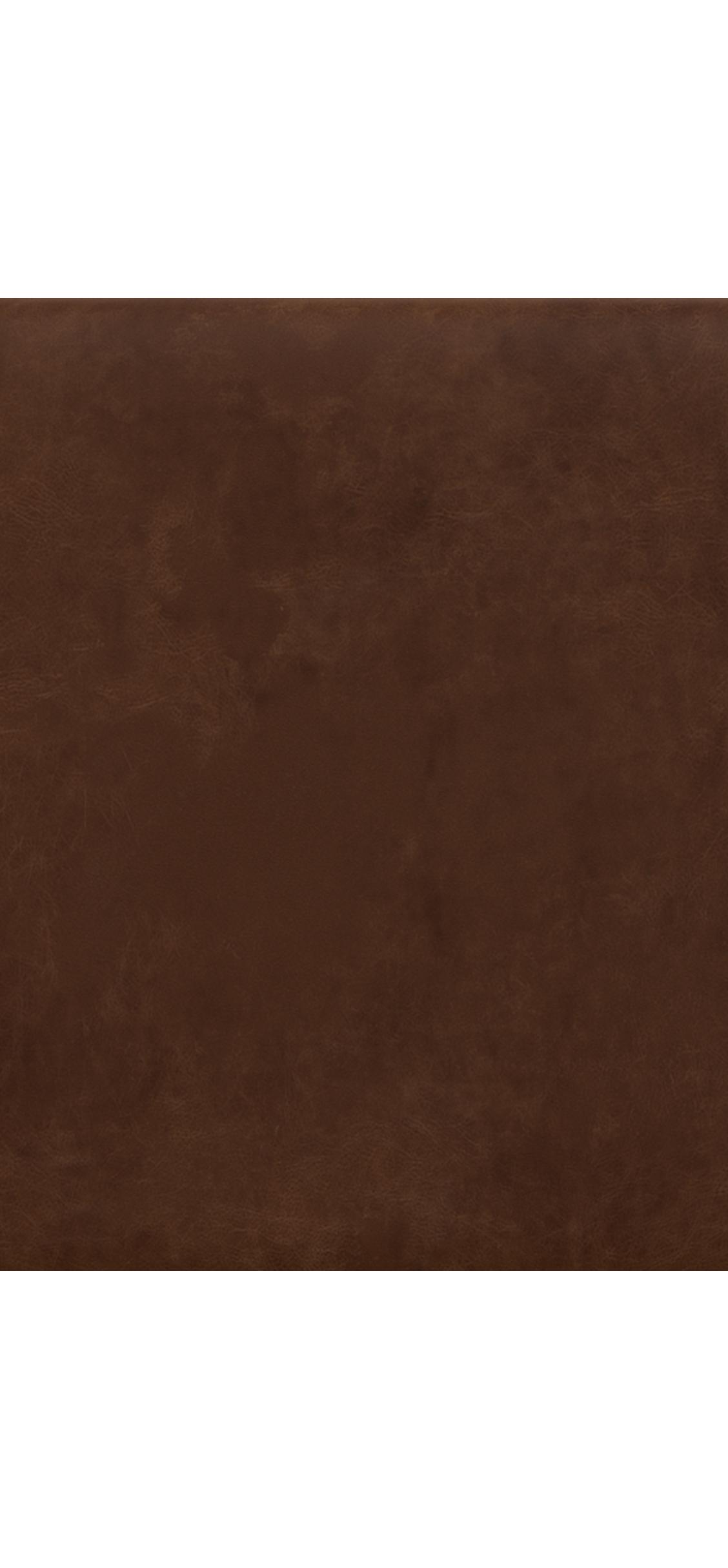 Premium Cocoa