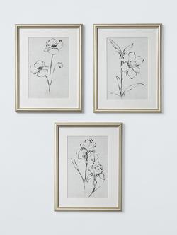 John Lewis Ethan Harper 'Floral Ink Study' Framed Print & Mount, Set of 3, 42 x 32cm, Natural, Natural