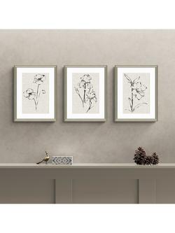 John Lewis Ethan Harper 'Floral Ink Study' Framed Print & Mount, Set of 3, 42 x 32cm, Natural - view 2, Natural