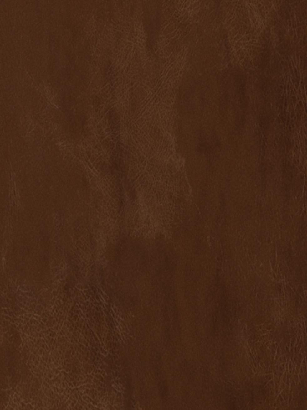 Premium Cocoa