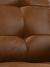 Premium Caramel colour