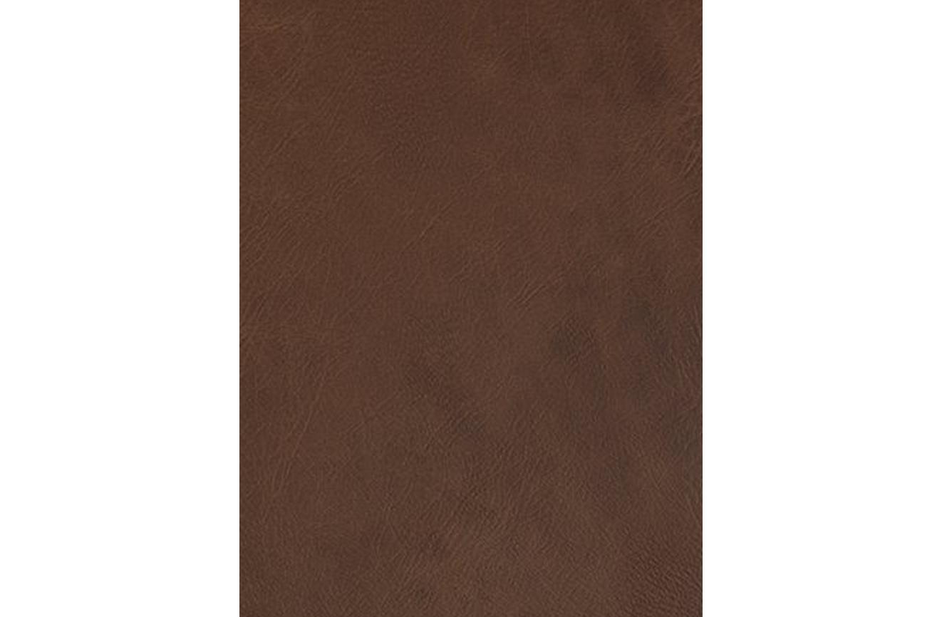 Premium Cocoa