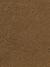 Demetra Light Tan colour