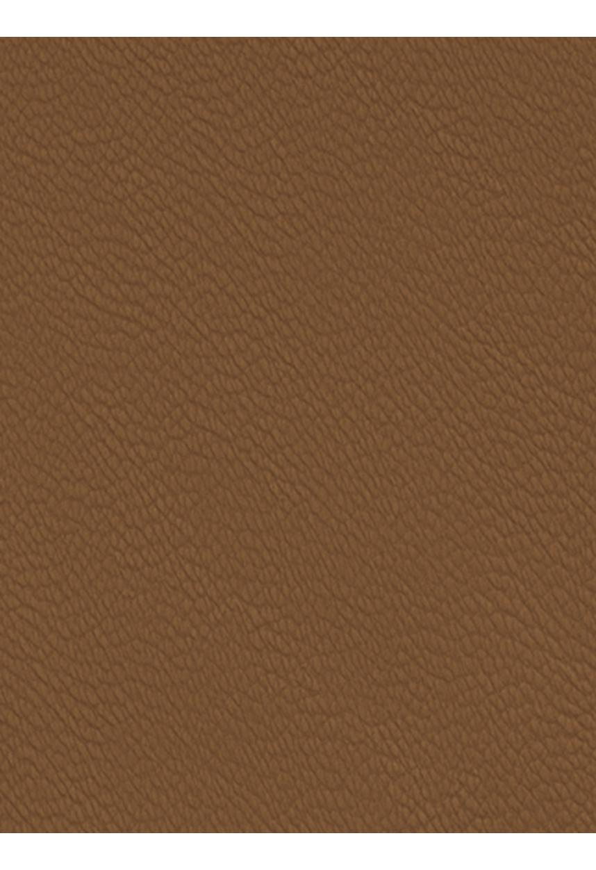 Matt Tan