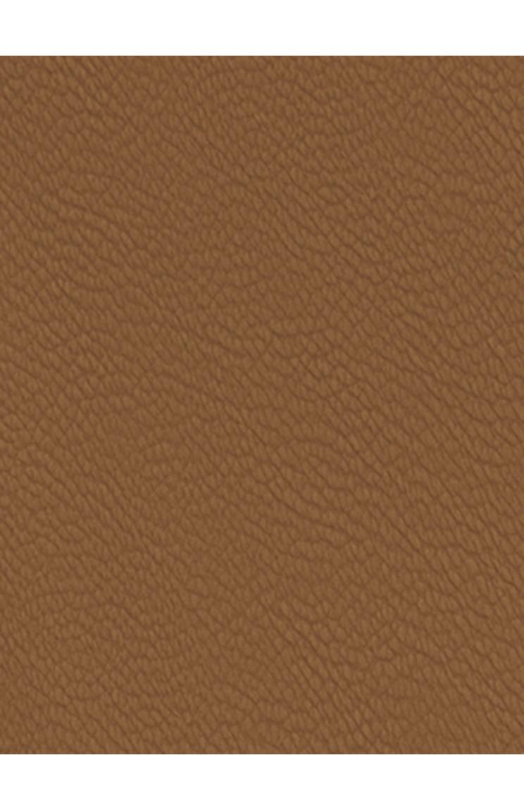 Matt Tan