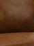 Premium Caramel colour