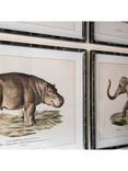 One.World Brookby Animal Wood Framed Wall Art, Set of 4, 60 x 80cm, Black