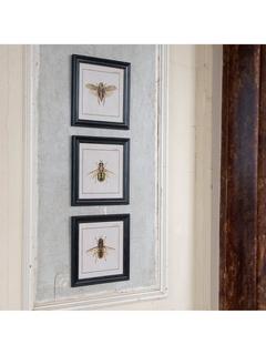 One.World Brookby Bee Wood Framed Wall Art, Set of 3, 38 x 38cm, Black
