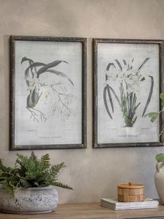 One.World Brookby White Orchid Wood Framed Print, Set of 2, 70 x 50cm, Black