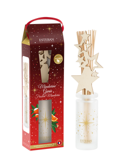 Esteban Frosted Mandarin Reed Diffuser, 100ml, 
