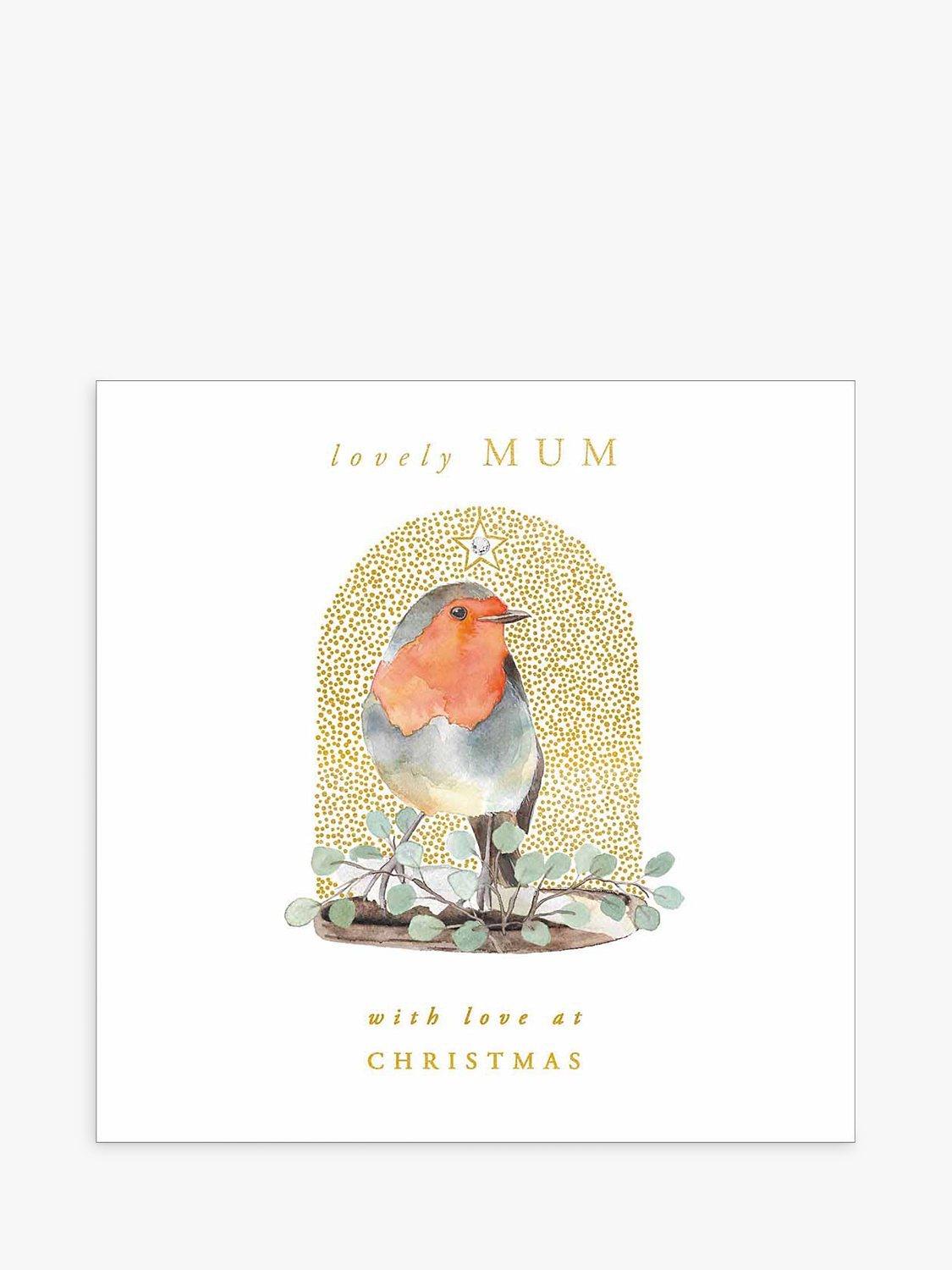 Woodmansterne Mum Robin in Jar Christmas Card