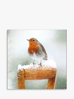 Woodmansterne Robin on a Spade Christmas Card, Multi