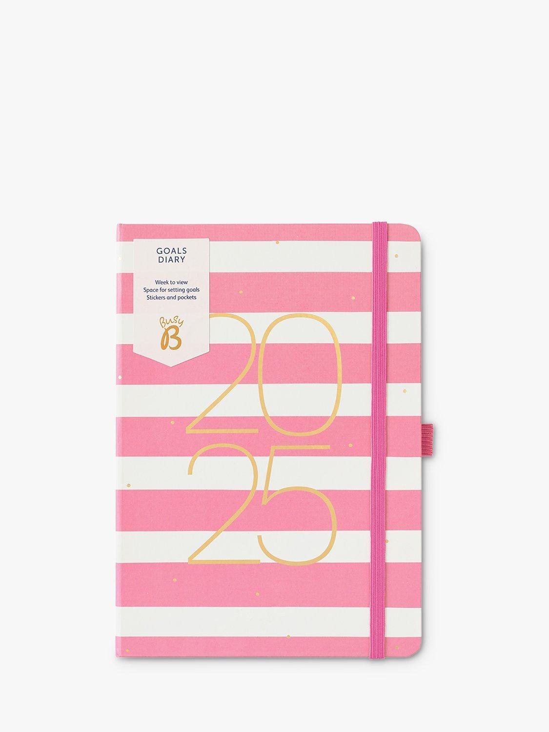 Busy B Stripe Goals 2025 Diary