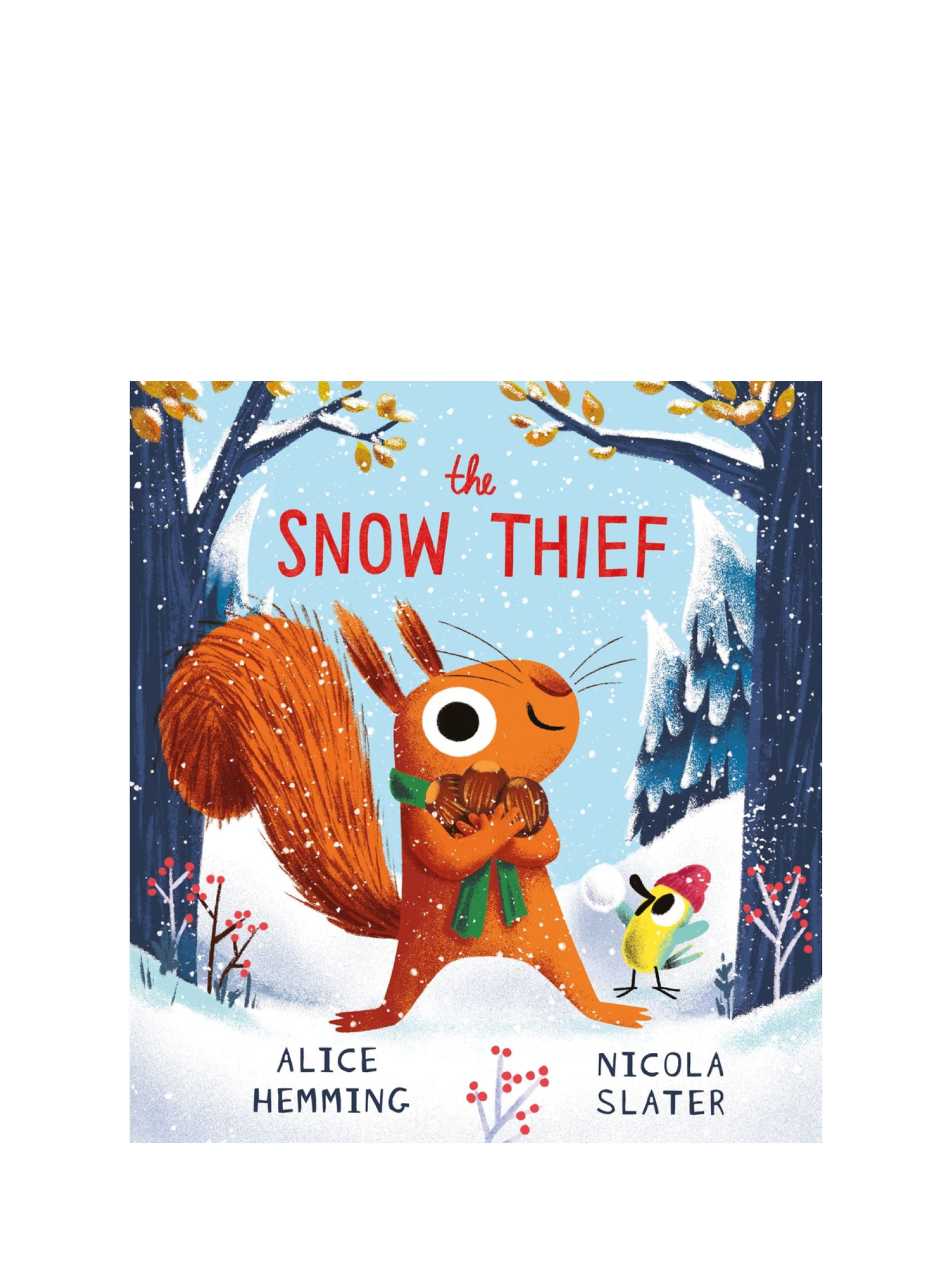 Alice Hemming - The Snow Thief Kids' Book