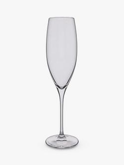 Dartington Crystal Wine Master Champagne Glass Flute, Set of 2, 200ml, Clear, Clear