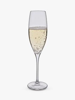 Dartington Crystal Wine Master Champagne Glass Flute, Set of 2, 200ml, Clear - view 2, Clear