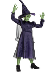 Wicked Elphaba Deluxe Children's Costume