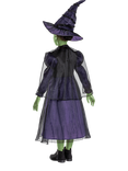 Wicked Elphaba Deluxe Children's Costume