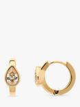 Melissa Odabash Teardrop Crystal Huggie Hoop Earrings, Gold