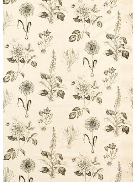 Clarke & Clarke Roseraie Made to Measure Curtains & Roman Blind, Charcoal, Charcoal
