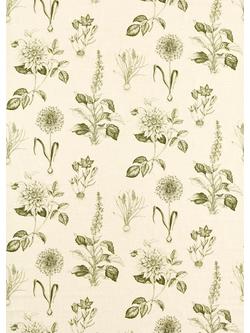 Clarke & Clarke Roseraie Made to Measure Curtains & Roman Blind, Sage, Sage