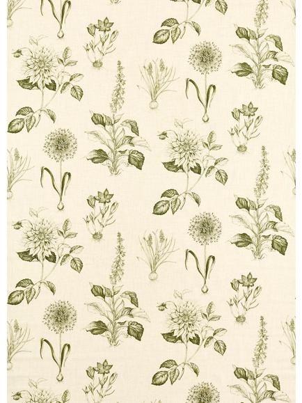 Clarke & Clarke Roseraie Made to Measure Curtains & Roman Blind, Sage, Sage