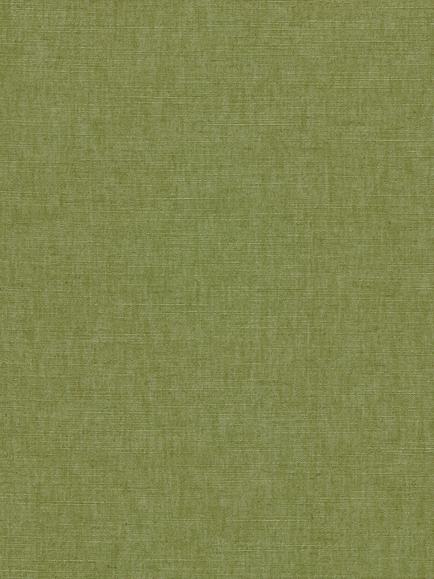 Clarke & Clarke Paradiso Made to Measure Curtains or Roman Blind, Palm, Palm