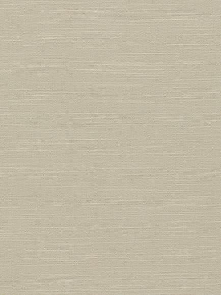 Clarke & Clarke Paradiso Made to Measure Curtains or Roman Blind, Pebble, Pebble