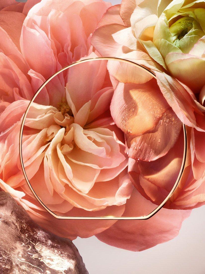Product image 5 of 10, which shows Lancôme Absolue Les Parfums 1001 Roses Eau de Parfum, 100ml