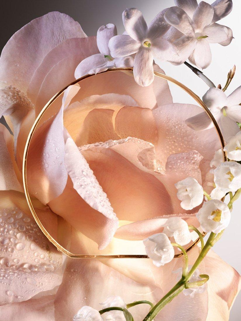 Product image 5 of 8, which shows Lancôme Absolue Les Parfums 6am Rose Eau de Parfum, 100ml