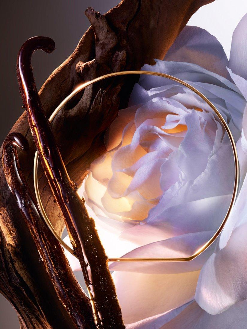 Product image 4 of 9, which shows Lancôme Absolue Les Parfums Rose On The Moon Eau de Parfum, 100ml