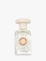 LIMITED EDITION!!! Tory Burch edp.100ml store