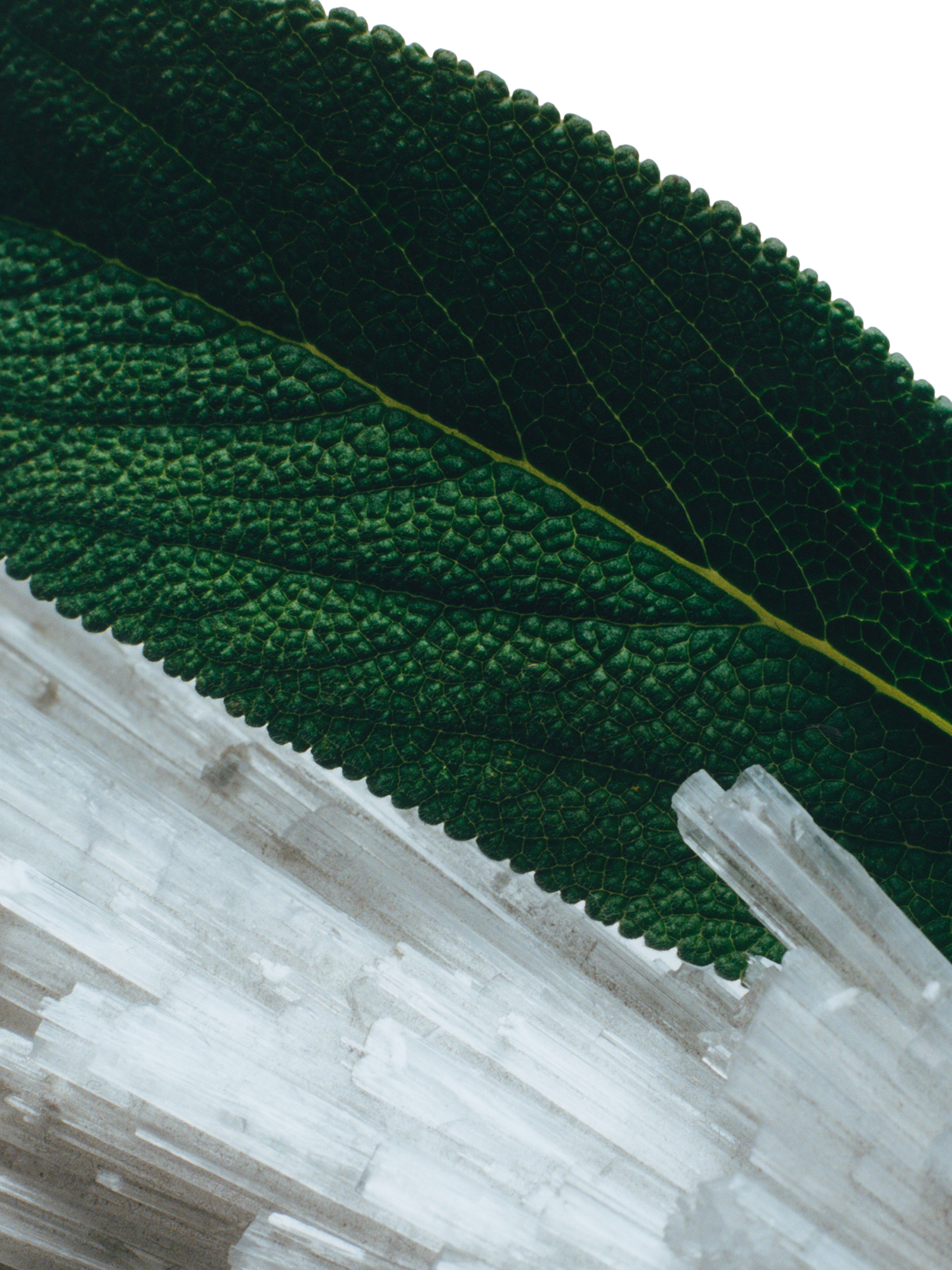 Product image 3 of 4, which shows Jo Malone London Wood Sage & Sea Salt Cologne, 9ml