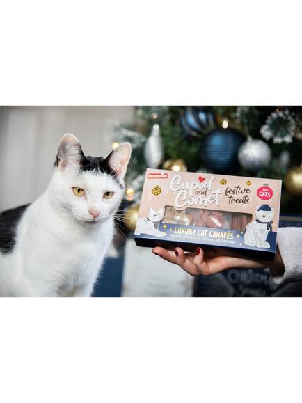 Rosewood Christmas Canape Cat Treats - view 2, Multi Multi
