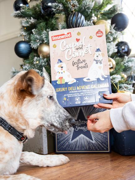 Rosewood Luxury Deli Advent Calendar for Dogs - view 2, Multi Multi