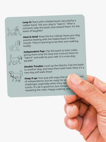Pikkii Party Tricks for Dogs Set - view 2, Multi