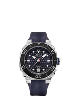 Divers