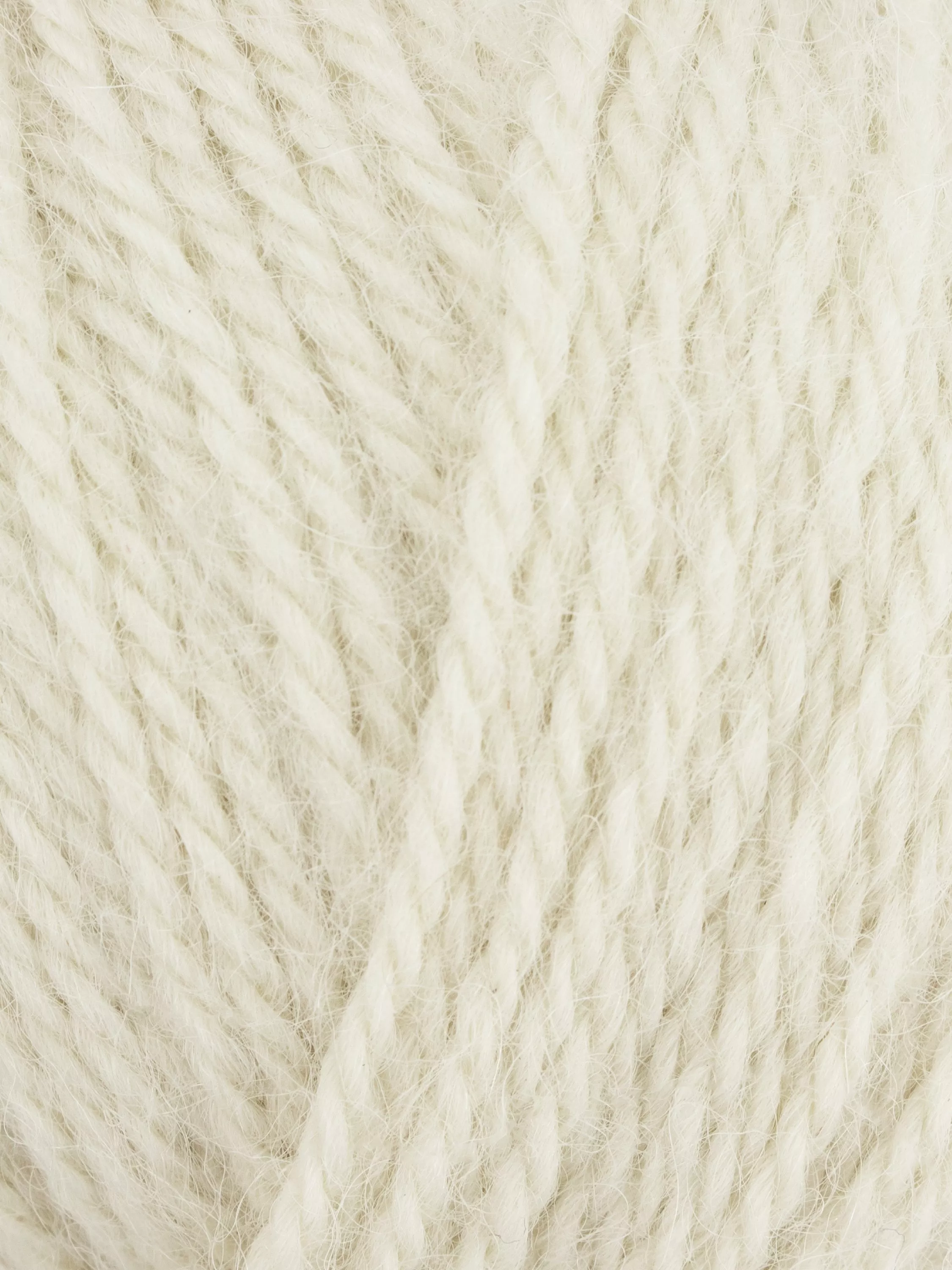 Feather 1223  - Out of stock