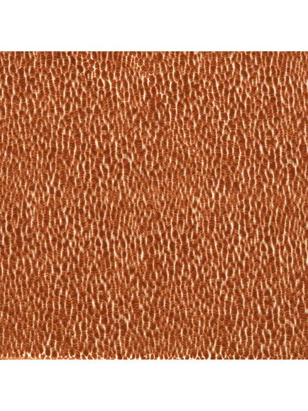Harlequin Lacuna Velvet Furnishing Fabric, Tiger
