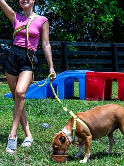 florence by mills Cross Body Dog Lead, Green - view 2, Green