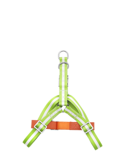 florence by mills Appleskin Leather Dog Harness, Green, Green