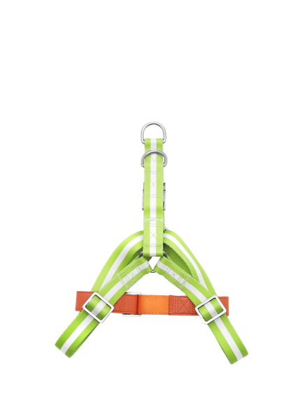 florence by mills Appleskin Leather Dog Harness, Green, Green